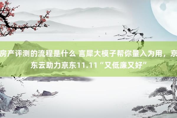 房产评测的流程是什么 言犀大模子帮你量入为用，京东云助力京东11.11“又低廉又好”