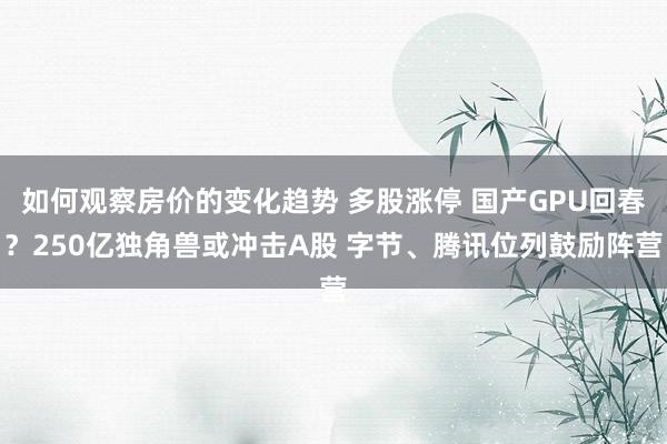 如何观察房价的变化趋势 多股涨停 国产GPU回春？250亿独角兽或冲击A股 字节、腾讯位列鼓励阵营