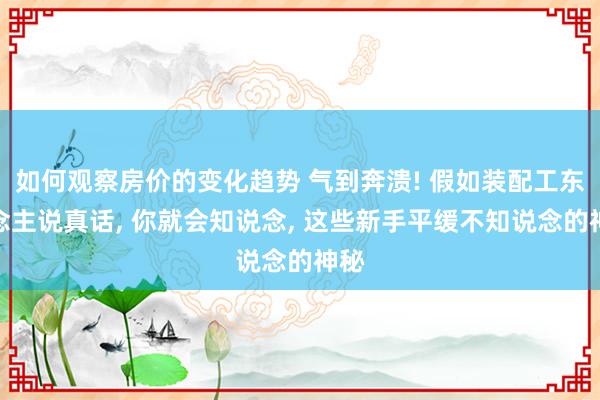 如何观察房价的变化趋势 气到奔溃! 假如装配工东说念主说真话, 你就会知说念, 这些新手平缓不知说念的神秘