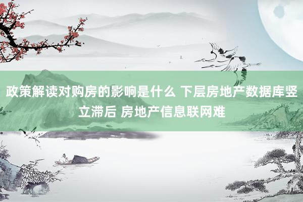 政策解读对购房的影响是什么 下层房地产数据库竖立滞后 房地产信息联网难