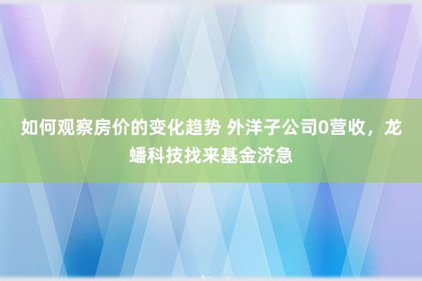 如何观察房价的变化趋势 外洋子公司0营收，龙蟠科技找来基金济急