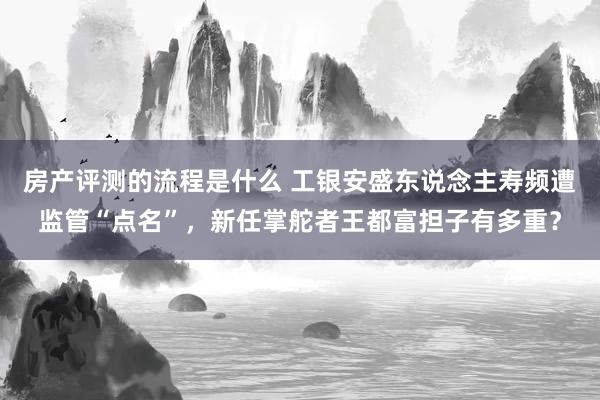 房产评测的流程是什么 工银安盛东说念主寿频遭监管“点名”，新任掌舵者王都富担子有多重？