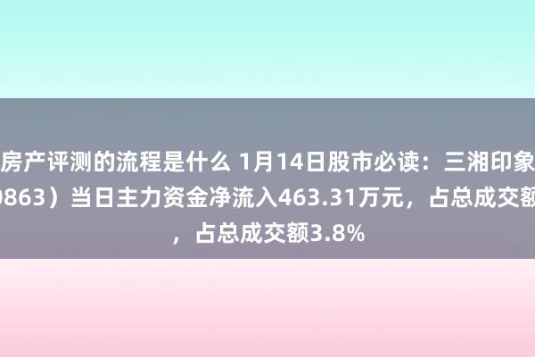 房产评测的流程是什么 1月14日股市必读：三湘印象（000863）当日主力资金净流入463.31万元，占总成交额3.8%