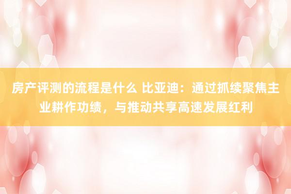 房产评测的流程是什么 比亚迪：通过抓续聚焦主业耕作功绩，与推动共享高速发展红利