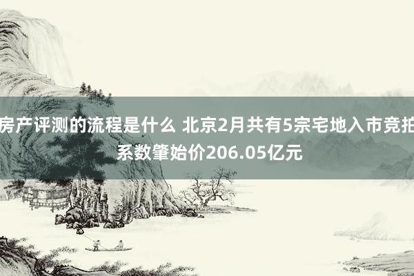 房产评测的流程是什么 北京2月共有5宗宅地入市竞拍 系数肇始价206.05亿元