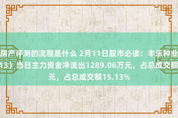 房产评测的流程是什么 2月11日股市必读：丰乐种业（000713）当日主力资金净流出1289.06万元，占总成交额15.13%