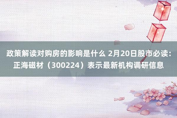 政策解读对购房的影响是什么 2月20日股市必读：正海磁材（300224）表示最新机构调研信息