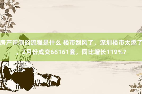 房产评测的流程是什么 楼市刮风了，深圳楼市太燃了，2月份成交66161套，同比增长119%？