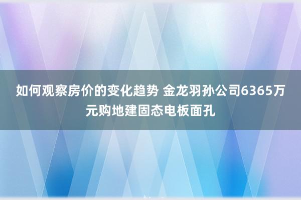 如何观察房价的变化趋势 金龙羽孙公司6365万元购地建固态电板面孔