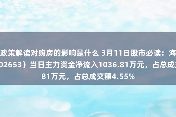 政策解读对购房的影响是什么 3月11日股市必读：海念念科（002653）当日主力资金净流入1036.81万元，占总成交额4.55%